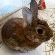 ヒメ日記 2025/11/23 13:01 投稿 天音 素人妻達☆マイふぇらレディー