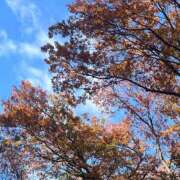 ヒメ日記 2025/11/29 08:45 投稿 天音 素人妻達☆マイふぇらレディー