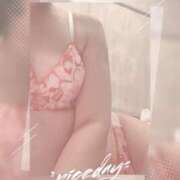 ヒメ日記 2025/12/10 18:02 投稿 天音 素人妻達☆マイふぇらレディー