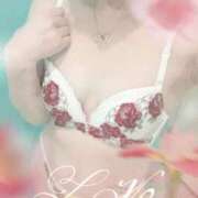 ヒメ日記 2025/12/29 00:29 投稿 天音 素人妻達☆マイふぇらレディー