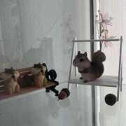 天音 myZONE 素人妻達☆マイふぇらレディー