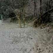 天音 昨日は… 素人妻達☆マイふぇらレディー