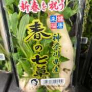 ヒメ日記 2026/01/08 08:10 投稿 天音 素人妻達☆マイふぇらレディー