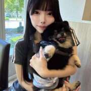 ヒメ日記 2025/08/20 11:46 投稿 ライム ロボットデリヘル