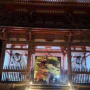 ヒメ日記 2024/12/12 11:00 投稿 はくび 艶熟妻 京都店