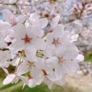 ヒメ日記 2025/03/14 13:43 投稿 こひな 出会い系人妻ネットワーク 春日部〜岩槻編