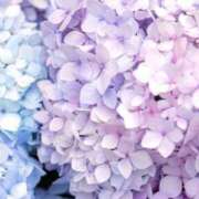 ヒメ日記 2025/06/27 11:06 投稿 こひな 出会い系人妻ネットワーク 春日部〜岩槻編