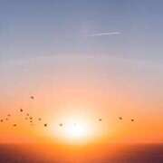 ヒメ日記 2025/07/15 07:10 投稿 ゆか 出会い系人妻ネットワーク さいたま～大宮編