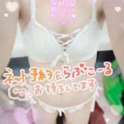 ヒメ日記 2025/01/31 12:36 投稿 まよい スピードエコ京橋店