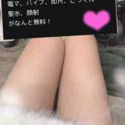 ヒメ日記 2025/03/02 12:26 投稿 まよい スピードエコ京橋店