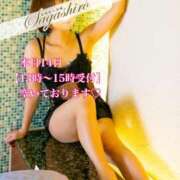 ヒメ日記 2024/12/14 11:03 投稿 十色(といろ) 相模原人妻城