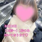 ヒメ日記 2024/12/15 12:00 投稿 十色(といろ) 相模原人妻城