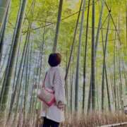 ヒメ日記 2024/12/30 17:15 投稿 十色(といろ) 相模原人妻城