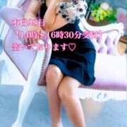 ヒメ日記 2025/01/28 12:00 投稿 十色(といろ) 相模原人妻城