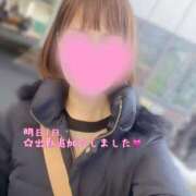 ヒメ日記 2025/02/28 17:03 投稿 十色(といろ) 相模原人妻城