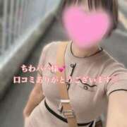 ヒメ日記 2025/04/10 11:33 投稿 十色(といろ) 相模原人妻城