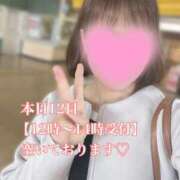 ヒメ日記 2025/04/12 11:48 投稿 十色(といろ) 相模原人妻城