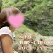 ヒメ日記 2025/04/23 11:33 投稿 十色(といろ) 相模原人妻城