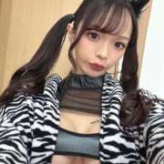 ヒメ日記 2026/02/19 23:26 投稿 愛瀬 めい Dolce～ドルチェ～