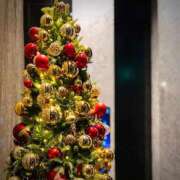 須藤 亜矢 久しぶりの再会…クリスマス前のご褒美時間🎄 名古屋貴楼館