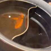 ヒメ日記 2025/02/08 18:01 投稿 りむ ポッキリ学園 ～モテモテハーレムごっこ～