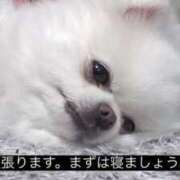 ヒメ日記 2025/12/20 22:04 投稿 りむ ポッキリ学園 ～モテモテハーレムごっこ～