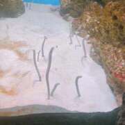 ヒメ日記 2025/10/30 13:06 投稿 るみ ナチュラルプリンセス