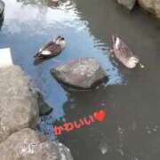 ヒメ日記 2025/05/09 20:26 投稿 前田【まえだ】 丸妻 西船橋店