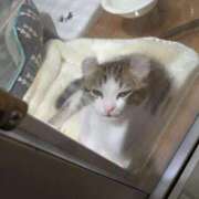 ヒメ日記 2025/01/09 13:29 投稿 りえ 多治見・土岐・春日井ちゃんこ