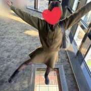 ヒメ日記 2025/03/12 10:55 投稿 しずか★ 阿AUN呍(あうん)