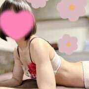 ヒメ日記 2025/04/04 11:11 投稿 しずか★ 阿AUN呍(あうん)