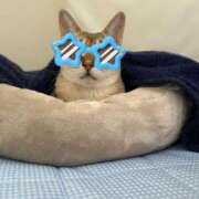 ヒメ日記 2025/06/08 21:20 投稿 しずか★ 阿AUN呍(あうん)