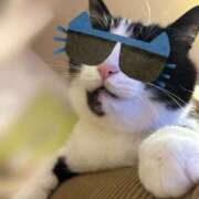 ヒメ日記 2025/10/15 11:13 投稿 しずか★ 阿AUN呍(あうん)