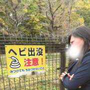 ヒメ日記 2025/12/03 03:00 投稿 うの 成田人妻花壇