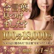 ヒメ日記 2026/04/03 11:00 投稿 うの 成田人妻花壇