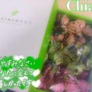 ヒメ日記 2025/04/04 06:46 投稿 ちあき 155