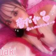 ヒメ日記 2025/05/03 17:16 投稿 ちあき 155