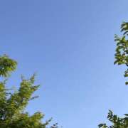 ヒメ日記 2024/12/29 11:54 投稿 太田　ゆり 昼下がりの情事