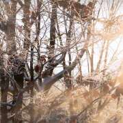 ヒメ日記 2025/01/16 13:09 投稿 太田　ゆり 昼下がりの情事