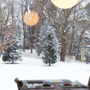 ヒメ日記 2025/02/05 12:54 投稿 太田　ゆり 昼下がりの情事