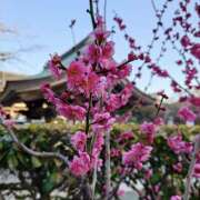 ヒメ日記 2025/02/16 11:45 投稿 太田　ゆり 昼下がりの情事