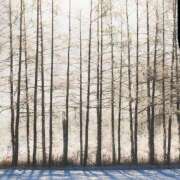 ヒメ日記 2025/02/18 17:12 投稿 太田　ゆり 昼下がりの情事