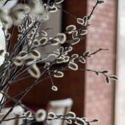 ヒメ日記 2025/02/20 16:20 投稿 太田　ゆり 昼下がりの情事