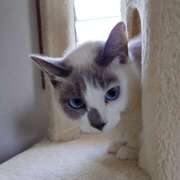 ヒメ日記 2025/02/22 13:37 投稿 太田　ゆり 昼下がりの情事