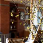 ヒメ日記 2025/02/24 00:36 投稿 太田　ゆり 昼下がりの情事