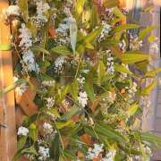 ヒメ日記 2025/03/07 16:43 投稿 太田　ゆり 昼下がりの情事