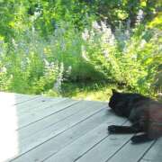 ヒメ日記 2025/03/30 12:05 投稿 太田　ゆり 昼下がりの情事