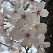 ヒメ日記 2025/04/08 13:54 投稿 太田　ゆり 昼下がりの情事