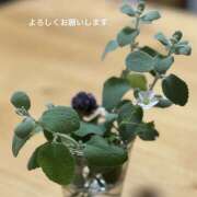 ヒメ日記 2025/04/20 11:53 投稿 太田　ゆり 昼下がりの情事