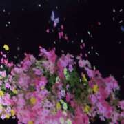 ヒメ日記 2025/04/23 12:03 投稿 太田　ゆり 昼下がりの情事